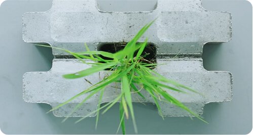 以及善用數字技術