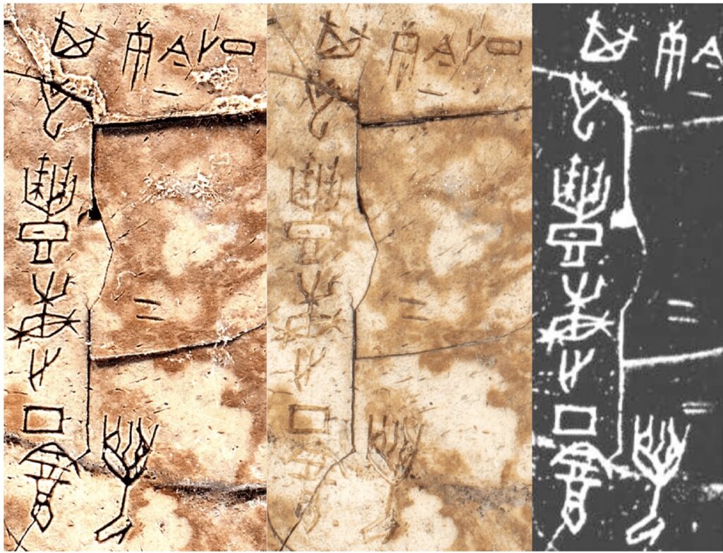 關於我們